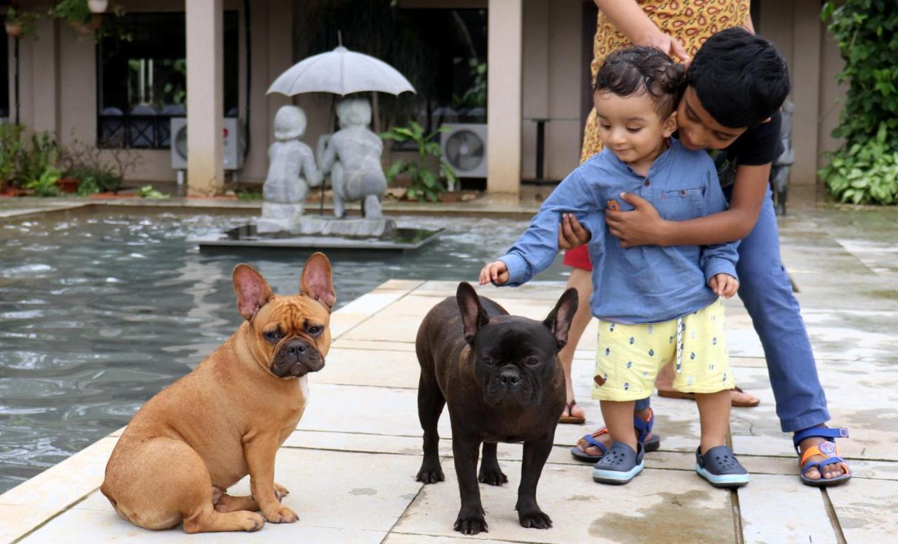 Manas Resort With Petting Zoo, Igatpuri Zewnętrze zdjęcie