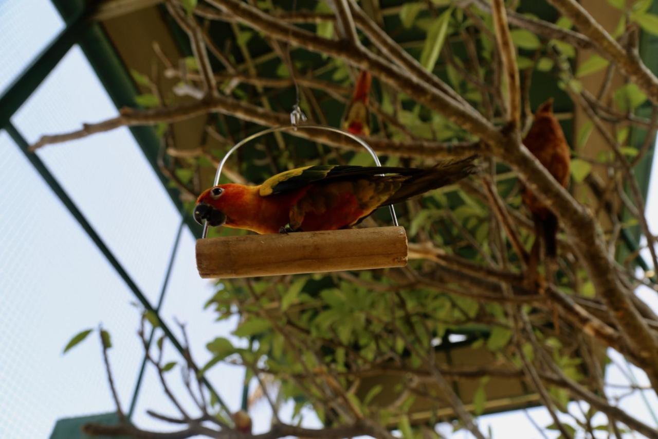 Manas Resort With Petting Zoo, Igatpuri Zewnętrze zdjęcie
