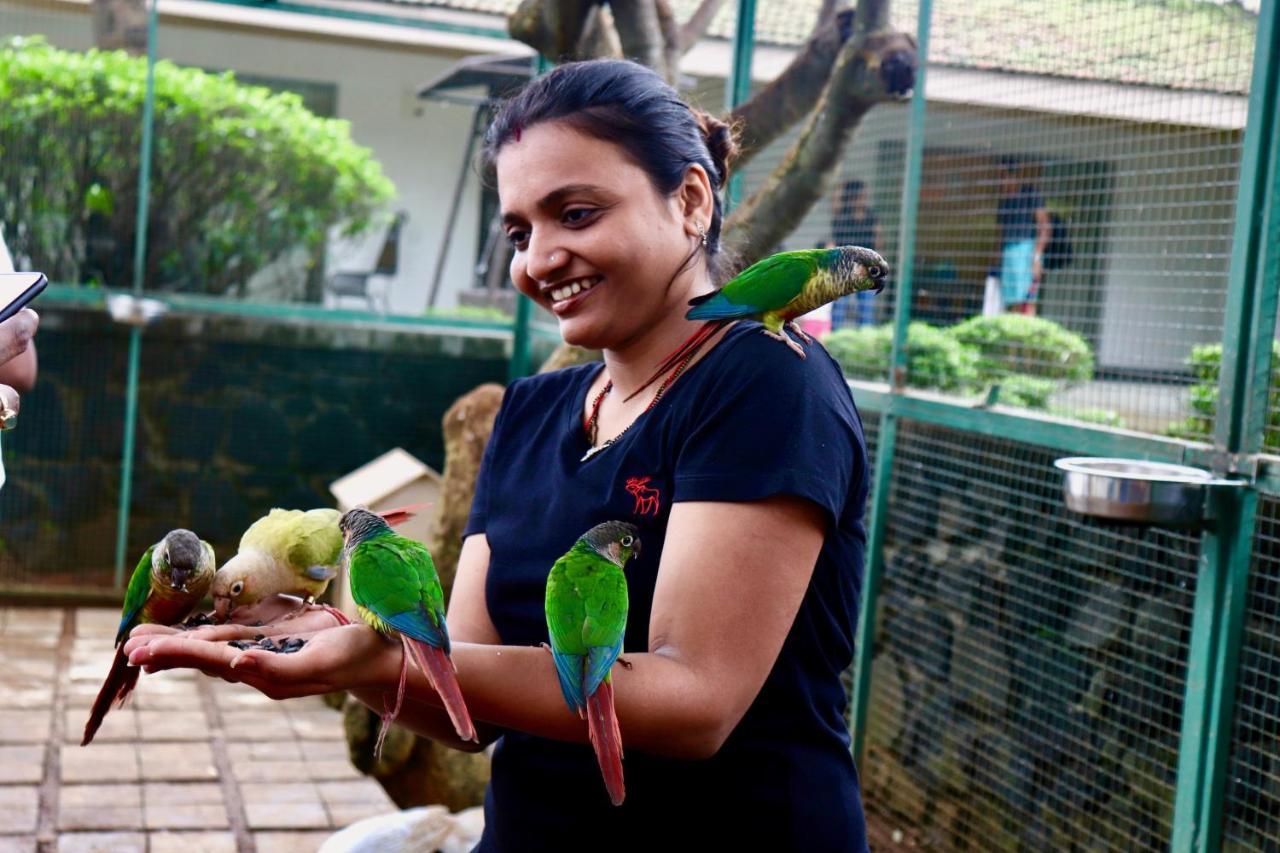 Manas Resort With Petting Zoo, Igatpuri Zewnętrze zdjęcie