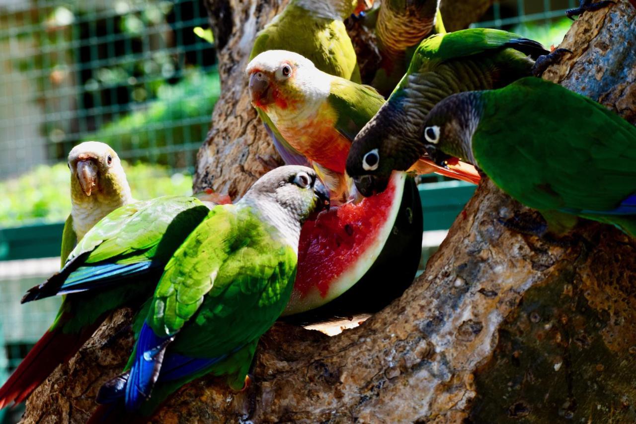 Manas Resort With Petting Zoo, Igatpuri Zewnętrze zdjęcie